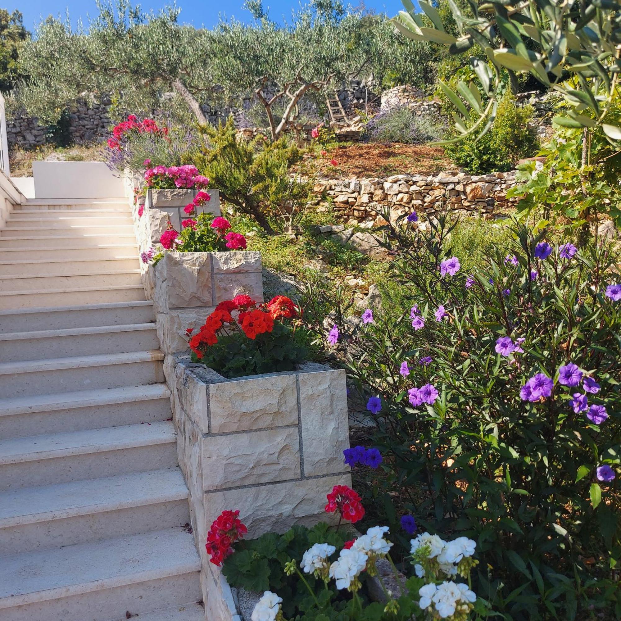 Villa Solta Rogač Eksteriør bilde