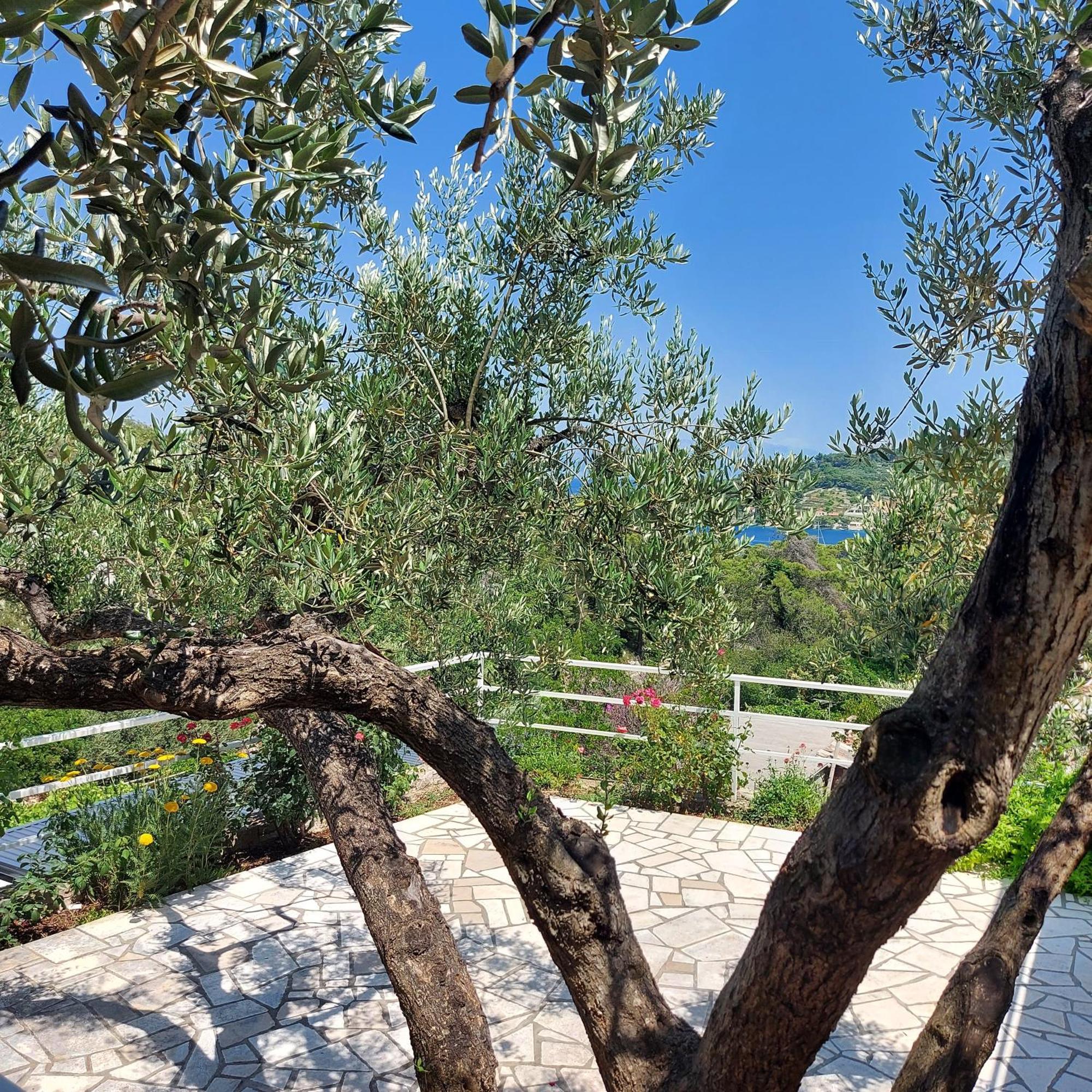 Villa Solta Rogač Eksteriør bilde