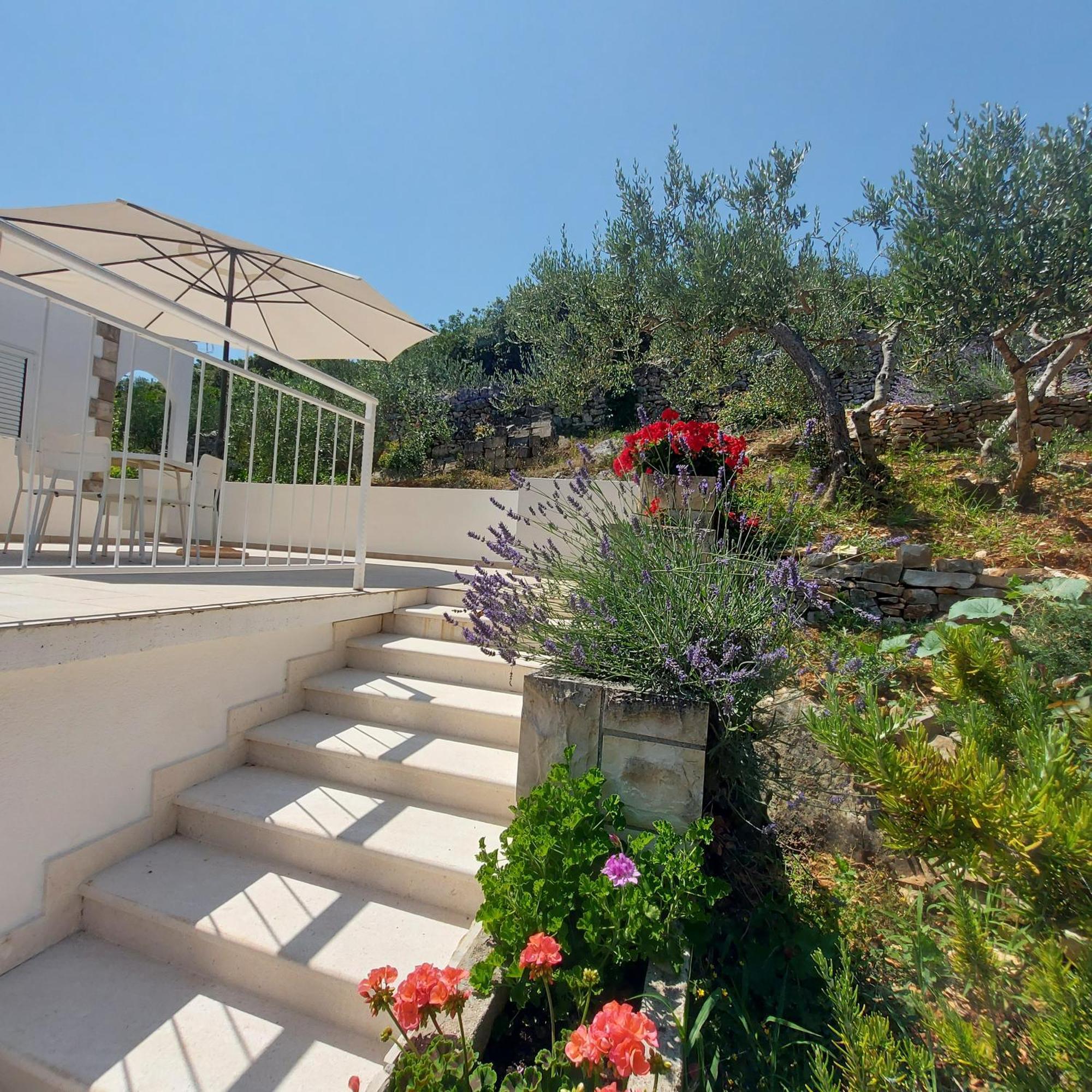 Villa Solta Rogač Eksteriør bilde