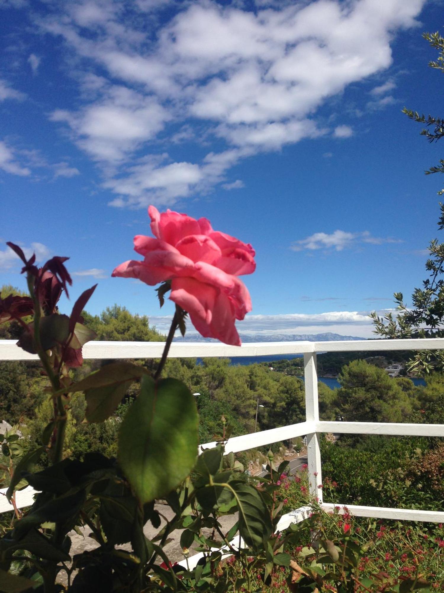 Villa Solta Rogač Eksteriør bilde